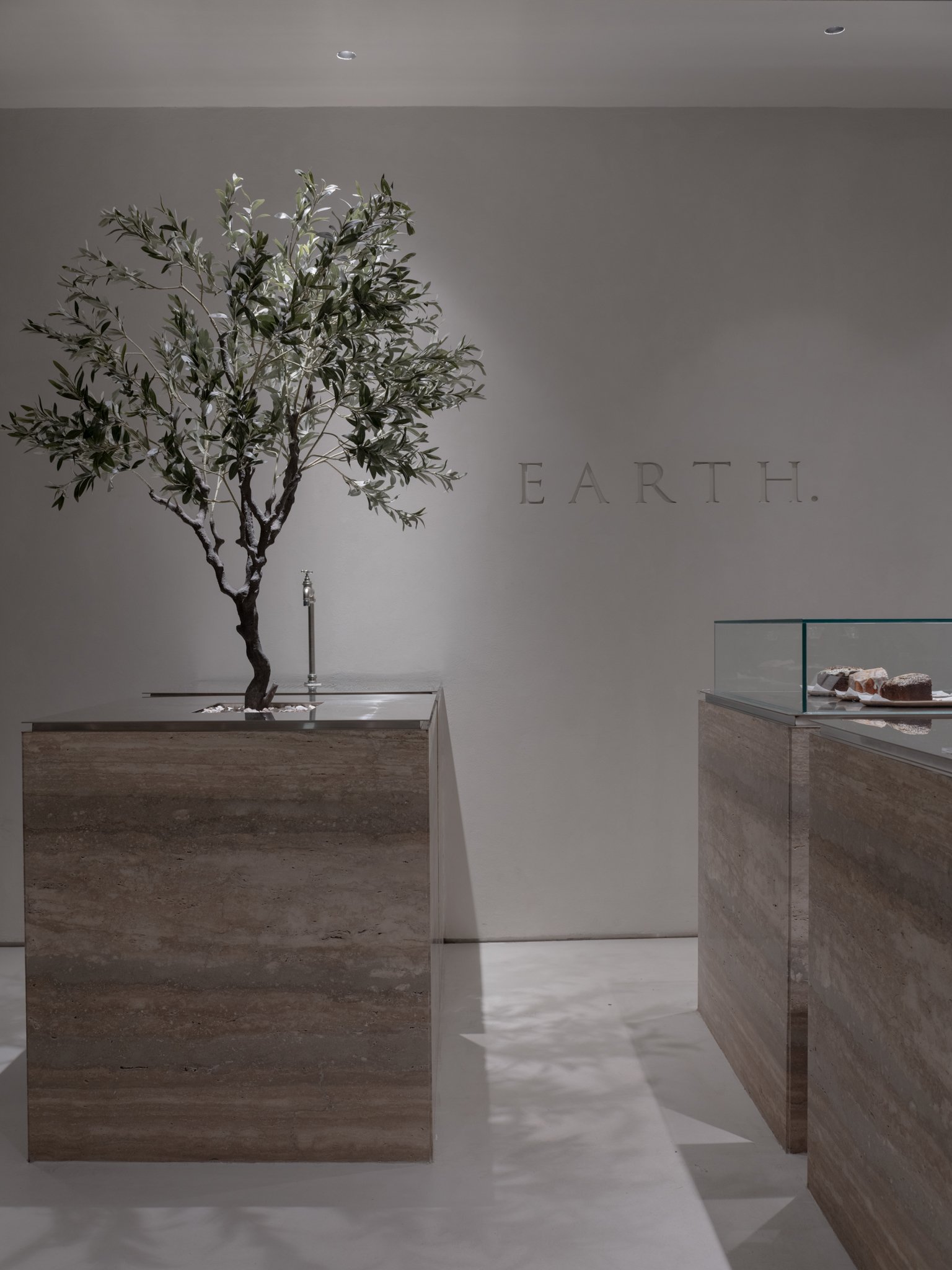 Earth